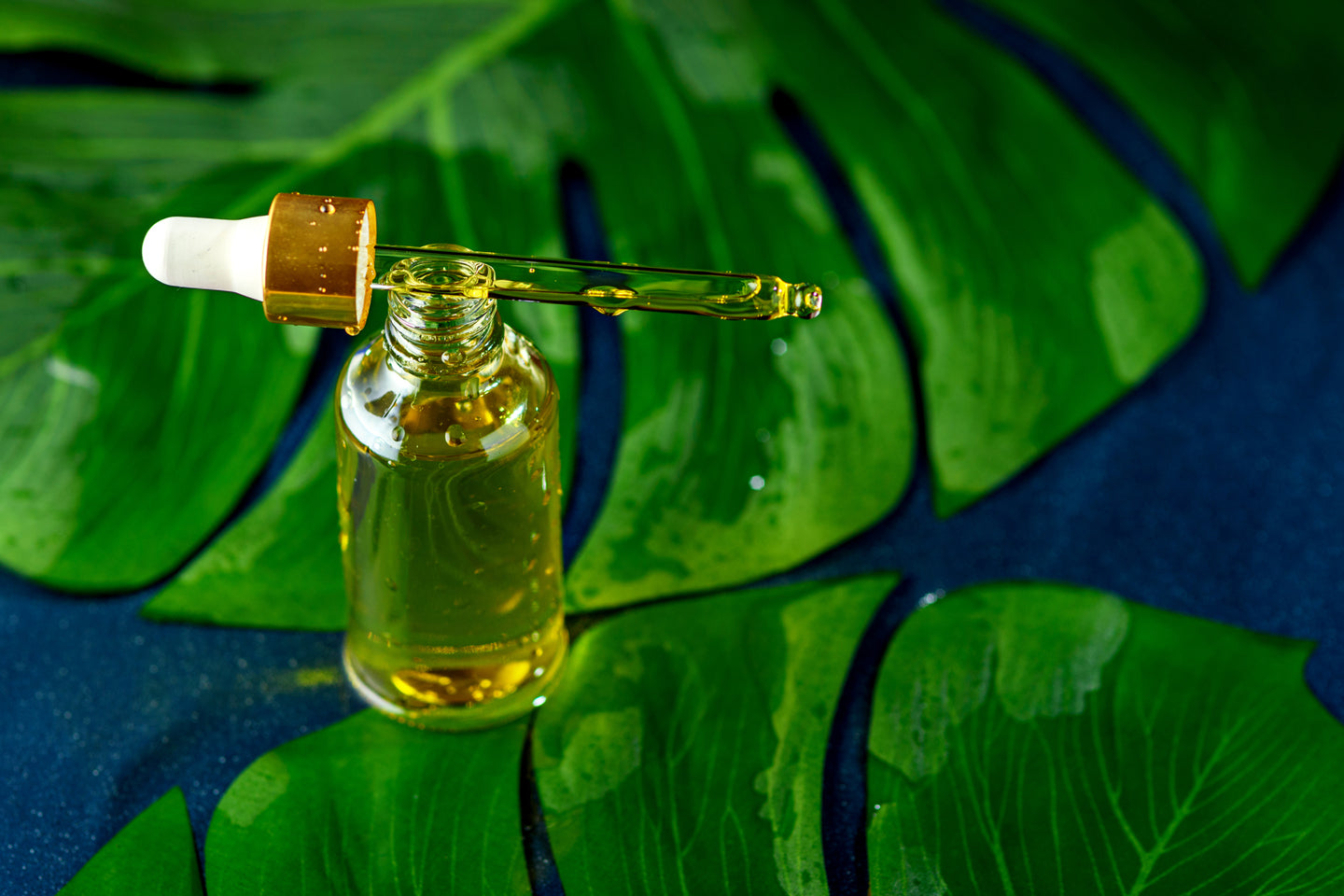 Why Nature's Oil? - Natures Oil Blog  Organic essential oils, Oils,  Essential oil brands